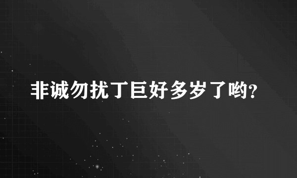 非诚勿扰丁巨好多岁了哟？