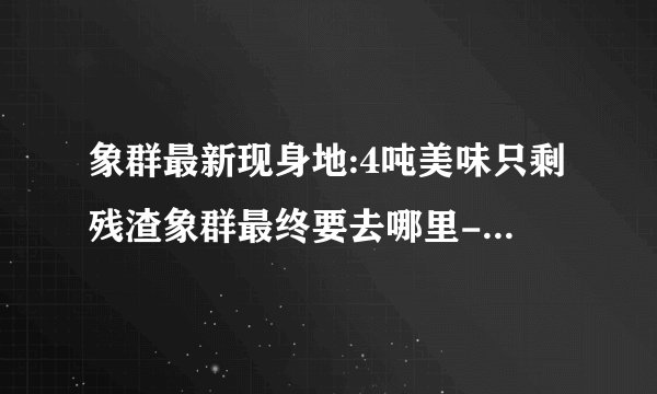 象群最新现身地:4吨美味只剩残渣象群最终要去哪里-动态-飞外网