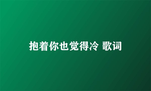 抱着你也觉得冷 歌词