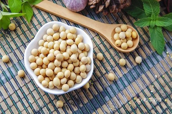 醋泡黄豆能减肥吗