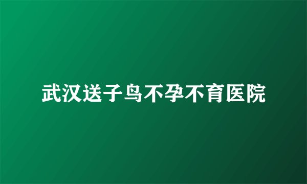 武汉送子鸟不孕不育医院