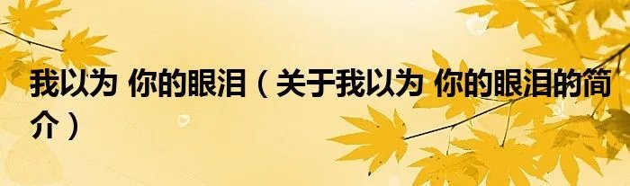 我以为 你的眼泪（关于我以为 你的眼泪的简介）