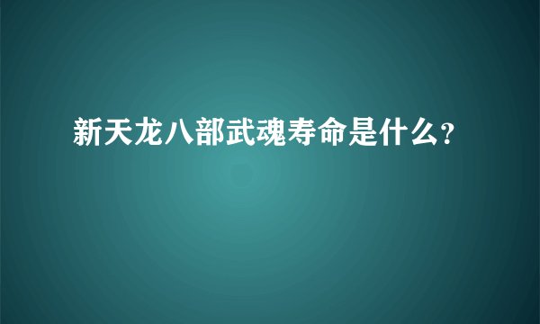 新天龙八部武魂寿命是什么？