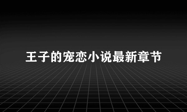 王子的宠恋小说最新章节