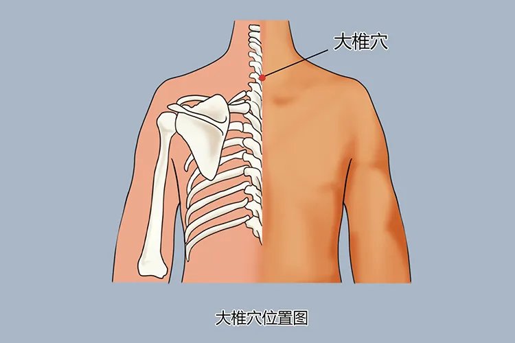 艾灸的部位图片