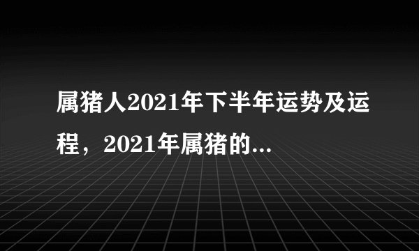 属猪人2021年下半年运势及运程，2021年属猪的全年运程