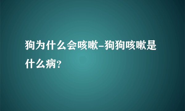 狗为什么会咳嗽-狗狗咳嗽是什么病？
