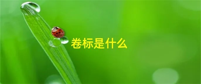 卷标是什么