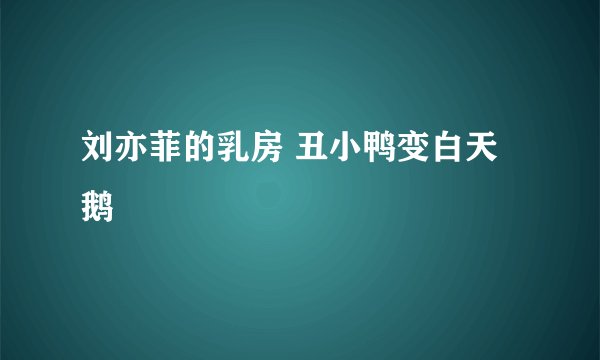 刘亦菲的乳房 丑小鸭变白天鹅