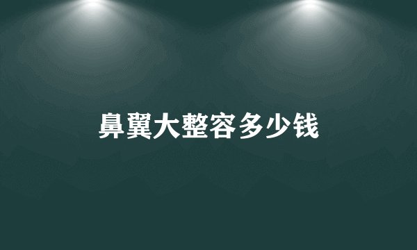 鼻翼大整容多少钱