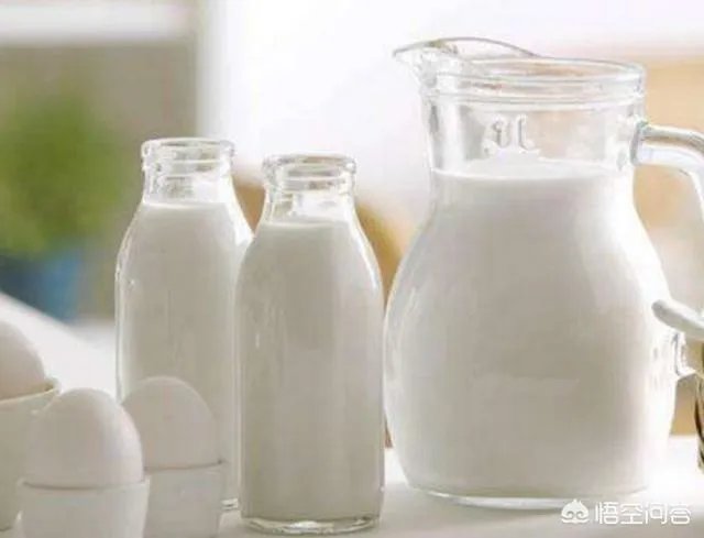 豆浆可不可以代替牛奶?你怎么看?