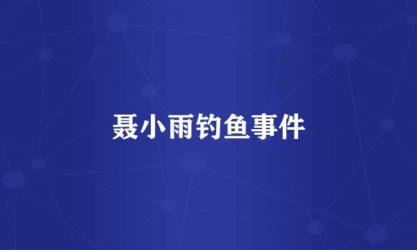 聂小雨钓鱼事件