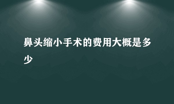 鼻头缩小手术的费用大概是多少