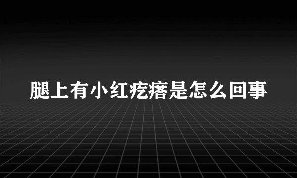 腿上有小红疙瘩是怎么回事