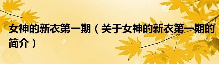 女神的新衣第一期（关于女神的新衣第一期的简介）