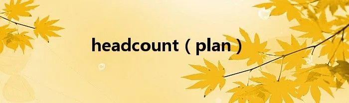 headcount（plan）
