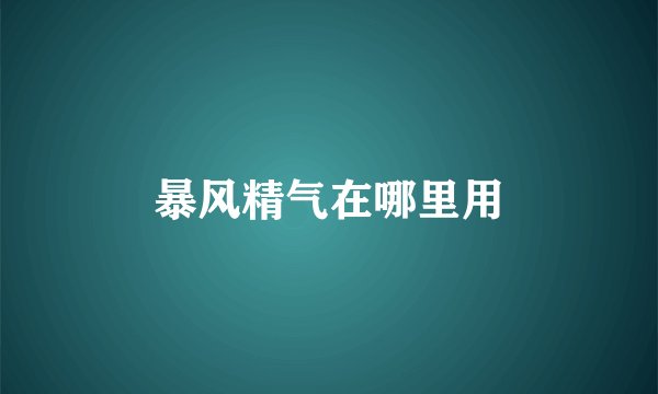 暴风精气在哪里用