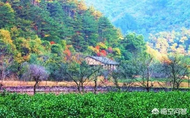 水没坪村