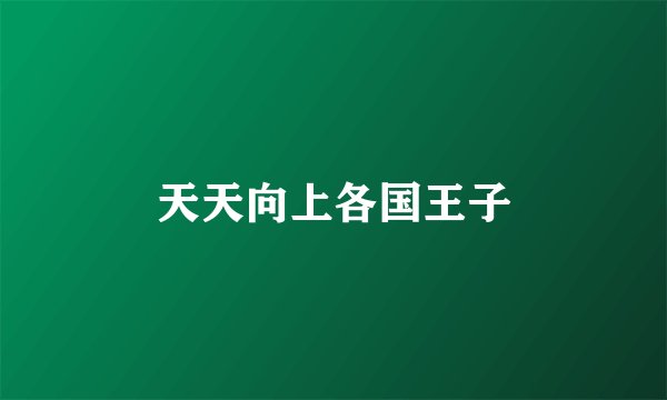 天天向上各国王子