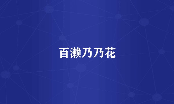 百濑乃乃花