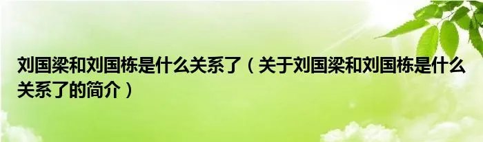 刘国梁和刘国栋是什么关系了（关于刘国梁和刘国栋是什么关系了的简介）