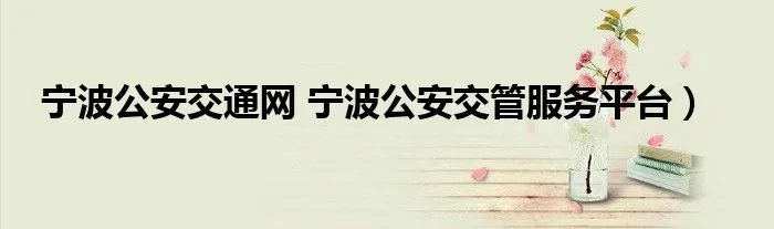 宁波公安交通网 宁波公安交管服务平台）