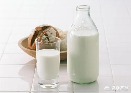 豆浆可不可以代替牛奶?你怎么看?