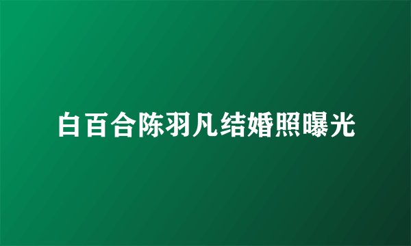白百合陈羽凡结婚照曝光