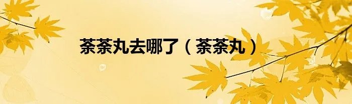 荼荼丸去哪了（荼荼丸）
