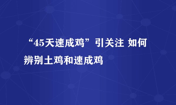 “45天速成鸡”引关注 如何辨别土鸡和速成鸡