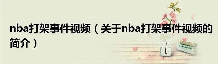nba打架事件视频（关于nba打架事件视频的简介）