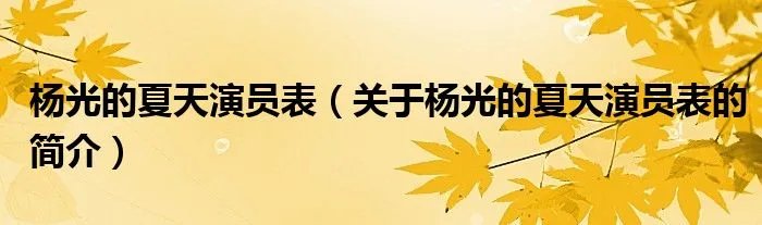 杨光的夏天演员表（关于杨光的夏天演员表的简介）