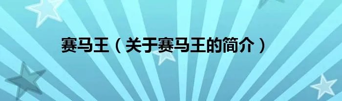 赛马王（关于赛马王的简介）