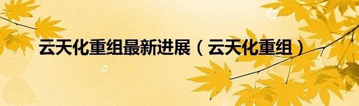 云天化重组最新进展（云天化重组）