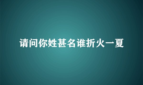 请问你姓甚名谁折火一夏