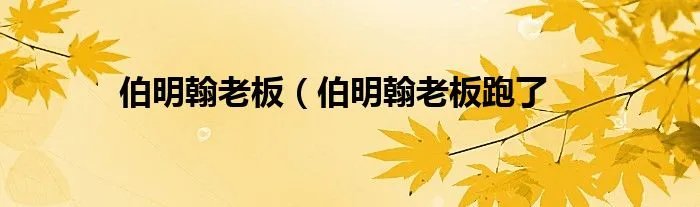 伯明翰老板（伯明翰老板跑了
