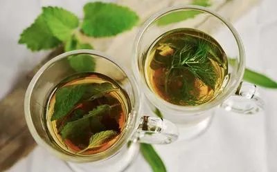 鹿筋海藻茶的功效  鹿筋海藻茶的调理人群