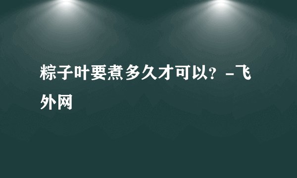粽子叶要煮多久才可以？-飞外网