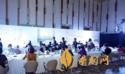品鉴是什么意思?