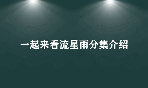 一起来看流星雨分集介绍