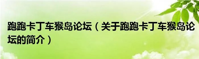 跑跑卡丁车猴岛论坛（关于跑跑卡丁车猴岛论坛的简介）