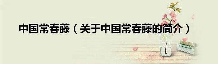中国常春藤（关于中国常春藤的简介）