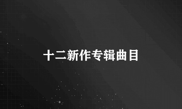 十二新作专辑曲目