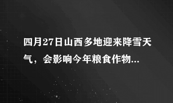 四月27日山西多地迎来降雪天气，会影响今年粮食作物产量吗？