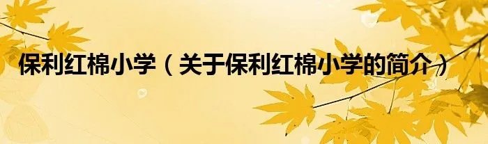 保利红棉小学（关于保利红棉小学的简介）