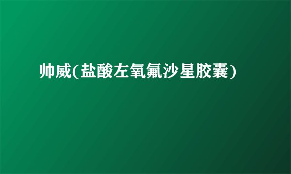 帅威(盐酸左氧氟沙星胶囊)