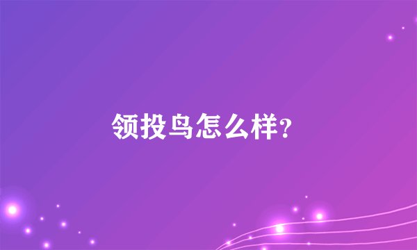 领投鸟怎么样？