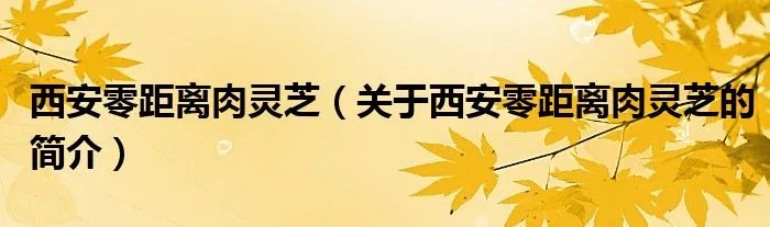 西安零距离肉灵芝(关于西安零距离肉灵芝的简介)