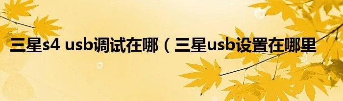 三星s4 usb调试在哪（三星usb设置在哪里