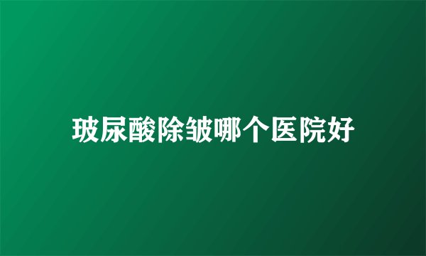 玻尿酸除皱哪个医院好